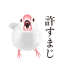 渋い文鳥（個別スタンプ：2）