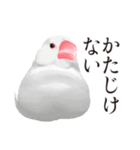 渋い文鳥（個別スタンプ：3）