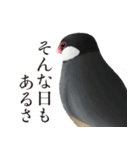 渋い文鳥（個別スタンプ：6）