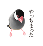 渋い文鳥（個別スタンプ：7）