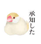 渋い文鳥（個別スタンプ：16）