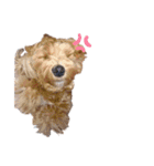 ニコちゃんマン！（個別スタンプ：4）