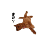 ニコちゃんマン！（個別スタンプ：16）