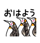 まじ3ペンギンさん（個別スタンプ：1）