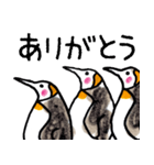 まじ3ペンギンさん（個別スタンプ：2）