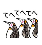 まじ3ペンギンさん（個別スタンプ：5）