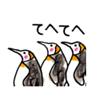 まじ3ペンギンさん（個別スタンプ：11）