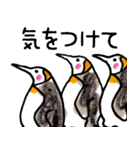 まじ3ペンギンさん（個別スタンプ：24）