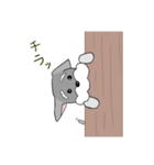 シュナウザーのジャンくん（個別スタンプ：5）