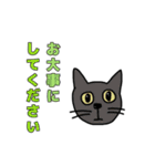 鼻の下の長いブサカワにゃんこ（個別スタンプ：22）