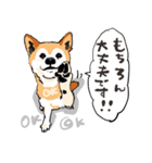 柴犬のクマ子 だいたい敬語スタンプ（個別スタンプ：6）