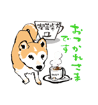 柴犬のクマ子 だいたい敬語スタンプ（個別スタンプ：17）