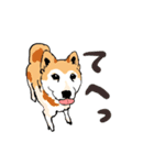 柴犬のクマ子 だいたい敬語スタンプ（個別スタンプ：21）