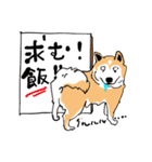 柴犬のクマ子 だいたい敬語スタンプ（個別スタンプ：24）