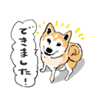 柴犬のクマ子 だいたい敬語スタンプ（個別スタンプ：37）