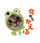 うちの子たち  その2（個別スタンプ：7）