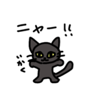 黒猫のミーチャ（個別スタンプ：12）