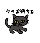 黒猫のミーチャ（個別スタンプ：13）