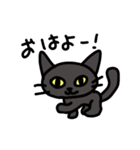 黒猫のミーチャ（個別スタンプ：15）