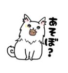 毎日使える、愛あふれるしろいいぬ。（個別スタンプ：3）