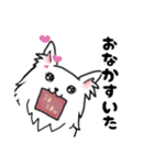 毎日使える、愛あふれるしろいいぬ。（個別スタンプ：4）