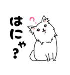 毎日使える、愛あふれるしろいいぬ。（個別スタンプ：6）