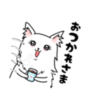 毎日使える、愛あふれるしろいいぬ。（個別スタンプ：11）