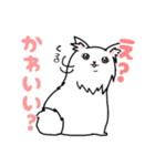 毎日使える、愛あふれるしろいいぬ。（個別スタンプ：23）