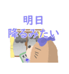 もぐらちゃん夏スタンプ（個別スタンプ：10）