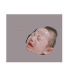 minogii（個別スタンプ：19）