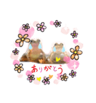 カエルと月と金魚（個別スタンプ：1）