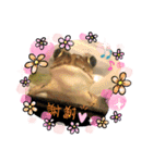 カエルと月と金魚（個別スタンプ：6）