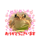 カエルと月と金魚（個別スタンプ：12）