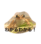 カエルと月と金魚（個別スタンプ：13）