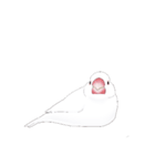 うちの白文鳥 【文字無しバージョン】（個別スタンプ：18）