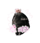 あいここあじゅ（個別スタンプ：11）