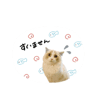 ♡sae様（個別スタンプ：4）