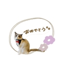 ♡sae様（個別スタンプ：6）