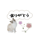 ♡sae様（個別スタンプ：7）