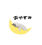 ♡sae様（個別スタンプ：8）