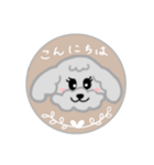 トイプーミニご挨拶スタンプ（個別スタンプ：2）