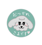 トイプーミニご挨拶スタンプ（個別スタンプ：3）