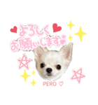 ペロちゃんはお利口さんだもの3（個別スタンプ：3）