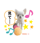 ペロちゃんはお利口さんだもの3（個別スタンプ：12）