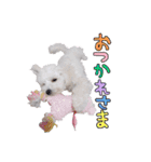 あずき第一弾（個別スタンプ：8）