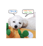 あずき第一弾（個別スタンプ：9）