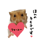 ちっちゃなゴールデンハムスター（個別スタンプ：29）