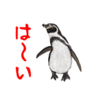 動く！ゾウと動物園の仲間たち（個別スタンプ：9）