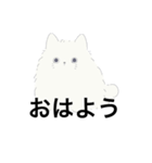 ねこが喋った！（個別スタンプ：1）
