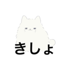 ねこが喋った！（個別スタンプ：13）